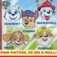 thumbnail image 4 of Kit decorativo para ventanas Horizon Group USA Paw Patrol con 5 atrapasoles, 4 of 7