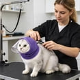 thumbnail image 4 of Breathable Mesh Cat Muzzle with Transparent Guard Adjustable Anti-Lick Head Protector for Grooming Bathing, 4 of 5