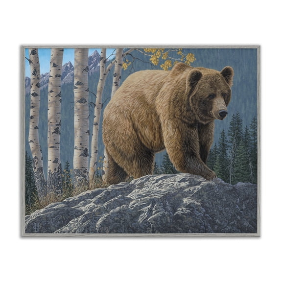 Stupell Industries Farmhouse Brown Bear on Rock Gray Framed Giclee Art, 14 x 11, by Jeff Hoff