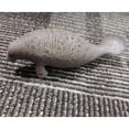 thumbnail image 4 of FIGURAS de MARINOS RESLISTICOS - Incluyendo , Gran , , Morsa, Tortuga , León Marino, 10 Manatí Baoblaze Juguetes marinos de animales, 4 of 8