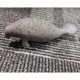 thumbnail image 4 of FIGURAS de MARINOS RESLISTICOS - Incluyendo , Gran , , Morsa, Tortuga , León Marino, 10 Manatí Baoblaze Juguetes marinos de animales, 4 of 8