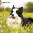 thumbnail image 7 of MASBRILL Large Dog Toys for Aggressive Chewers, Dog Toys for Large Dogs, Tough Dog Bone Chew Toys for Medium/ Large Dogs, Toothbrush Dog Toys for Aggressive Chewers Large Breed, 7 of 7