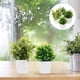 thumbnail image 4 of WORGEOUS Planta en maceta falsa de escritorio, decoración de plantas para el hogar, planta Artificial decorativa, 4 Uds., 4 of 8