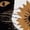 White, variant on White Print Tshirt Graphic Tees Shirts Retro Black Cat Sunflower Linocut Artistic Nature Print Casual Wear S-5XL Tops