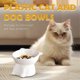 thumbnail image 4 of Plastic cat bowls and dog bowls Food Bowl Tilted Pet Feeder Dishes, 4 of 5