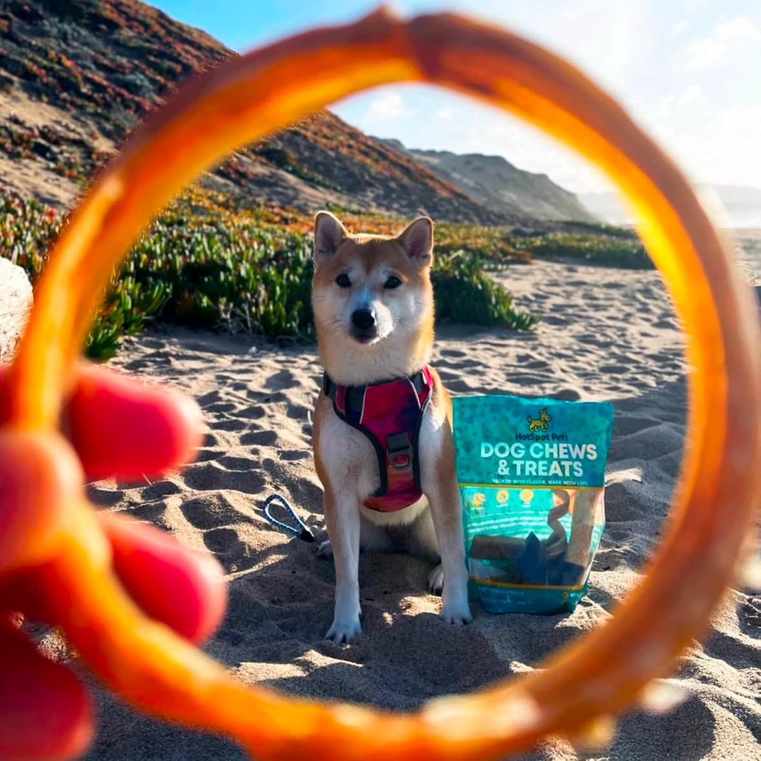 HotSpot Pets Bully Stick Rings for Dogs (5 Pack) - Premium All Natural Beef Pizzle Chew Treats - Grain Free