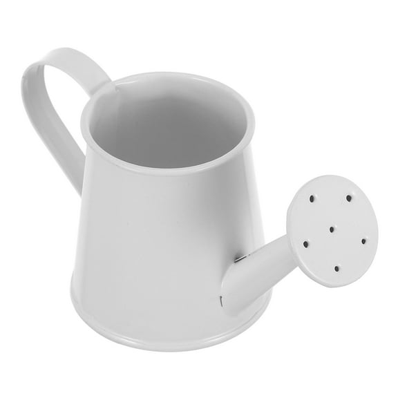 BESTYASH White Metal Watering Can for Succulents and Plants Trendy Design 1Pack
