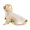 Yellow, variant on PrimeGo Dog Raincoat Transparent Hooded Dog Rain Jacket Adjustable Waterproof Pet Poncho for Small Medium Dogs Cats