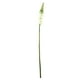 Northlight 37" Tige Florale Décorative Foxtail Artificielle Vert Clair et Blanc – image 1 sur 3