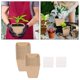 thumbnail image 1 of Plantas de macetas de Copa biodegradable Sharpla 80 piezas, 1 of 8
