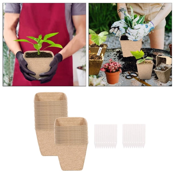 Plantas de macetas de Copa biodegradable Sharpla 80 piezas