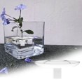 thumbnail image 1 of Floating Flower Arrangement Border Wind Planter | Hydroponic Flower Display Vessel | Modern Elegant Home Decor | Easy Clean Floral Organizer | 1 Training Vessel, 1 of 9