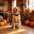 thumbnail image 4 of Pet Halloween Spider Costume for Large Dogs XXL Size, Creepy Black Furry Spider Cosplay Dress Up with 8 Long Legs, Funny Pet Party Outfit for Golden Retriever, 4 of 6