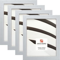 Craig Frames Essentials, 24x30 inch Picture Frame, Brushed Silver, Set of 4