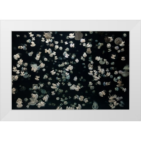 Graf, Sebastian 32x23 White Modern Wood Framed Museum Art Print Titled - Just some Jellies