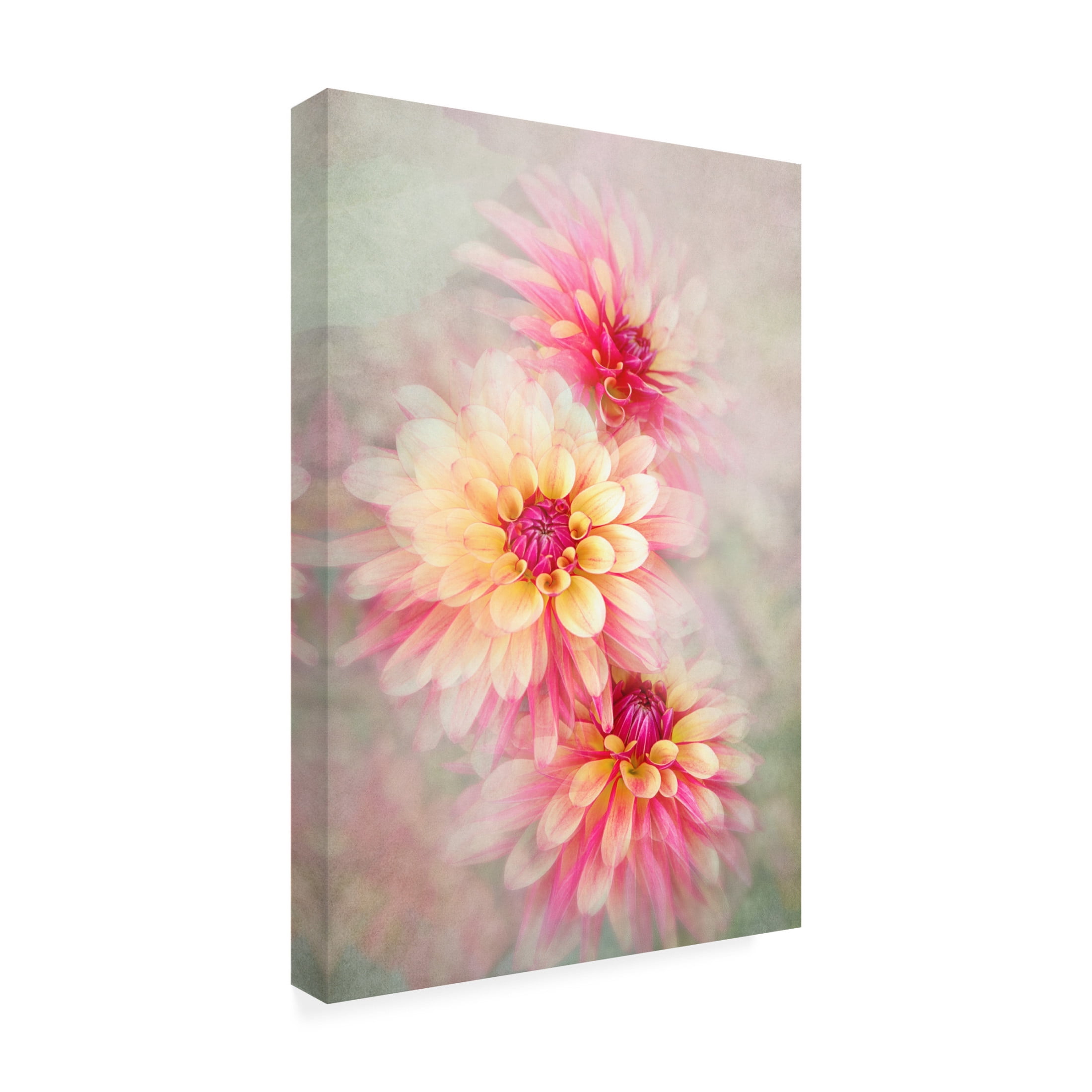 Trademark Fine Art Jacky Parker Trio Canvas Wall Art