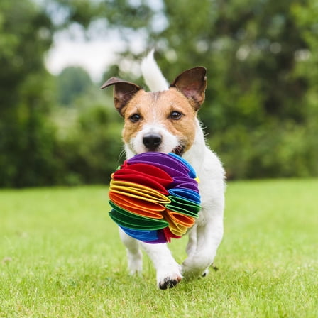 BESTOYARD Dog Feeding Puzzle Snuffle Ball with Felt to Entertain Pets and Promote Healthy Eating