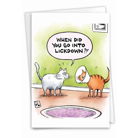 NobleWorks Funny Birthday Greeting Card with 5 x 7 Inch Envelope (1 Card) Bday Lickdown C2449BDG