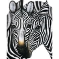 thumbnail image 3 of Unknown 12x14 Black Modern Framed Museum Art Print Titled - Zebra I, 3 of 5