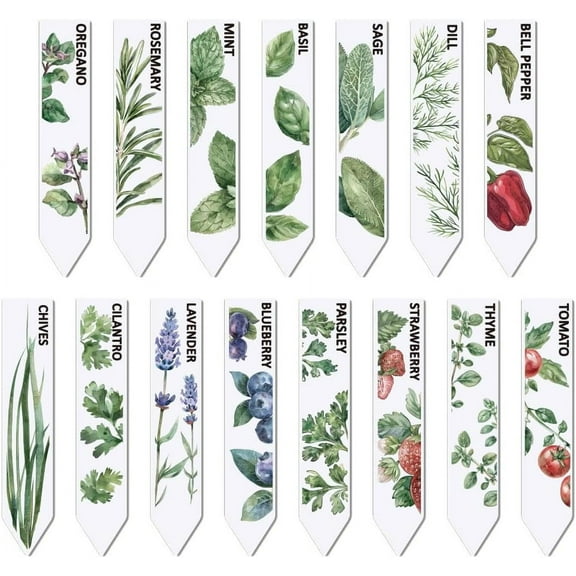 15 Pcs Vegetable Fruit herb Plant Labels Aesthetic Patterned Acrylic Plant Markers Bell Pepper Blueberry Mint sage Garden tag Sign