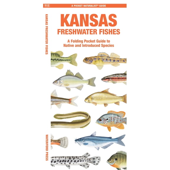 Nature Observation North : Kansas Freshwater Fishes : A Folding Pocket Guide to Native and Introduced Species (Other)