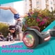 thumbnail image 5 of HOVERSTAR Hoverboard Bluetooth para niños, LBW27 - Patinete autoequilibrante de color mate, altavoz inalámbrico incorporado, luces LED y ruedas intermitentes Hoverstar  LBW27, 5 of 7