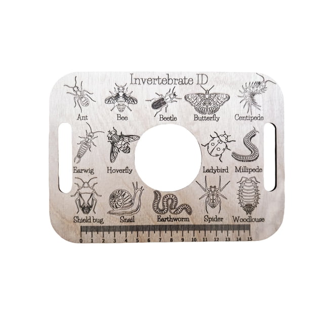 Jindong BugIdentification Ruler InterestingInsect Encyclopedia BugObservation Ruler Wood Products Cultivate Children's Observation Ability and Interest In Exploring Nature