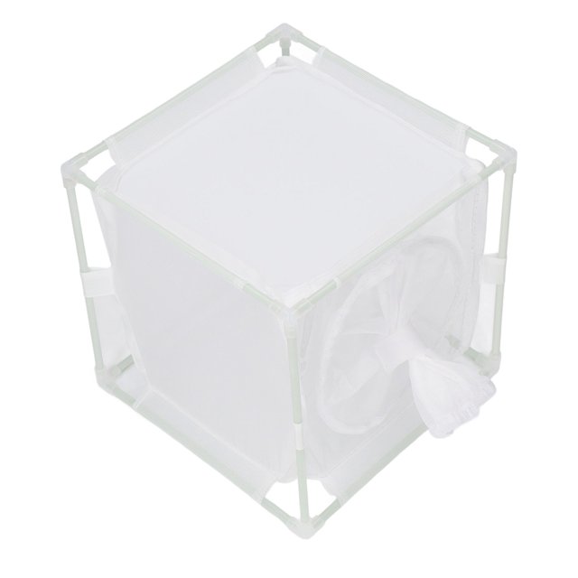 Jaula de Observación del Insecto del Pvc de la Malla con la Estructura ESTABLE PARA CRIAR EL PEQUERO DEL INSECTO