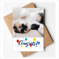 thumbnail image 1 of Kitty Cat Stripes Relax Sleep Animal Wedding Cards Congratulations Greeting Envelopes, 1 of 3