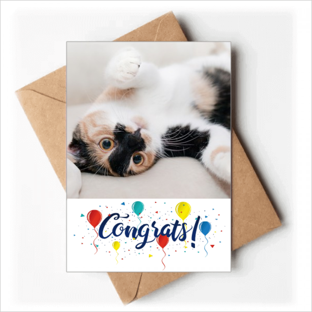 Kitty Cat Stripes Relax Sleep Animal Wedding Cards Congratulations Greeting Envelopes