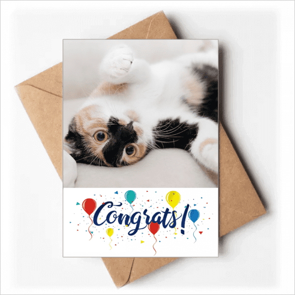 Kitty Cat Stripes Relax Sleep Animal Wedding Cards Congratulations Greeting Envelopes