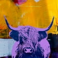 thumbnail image 4 of Stephen Chambers 20x20 White Modern Wood Framed Wall Art Titled - Highland Cow 7, 4 of 6