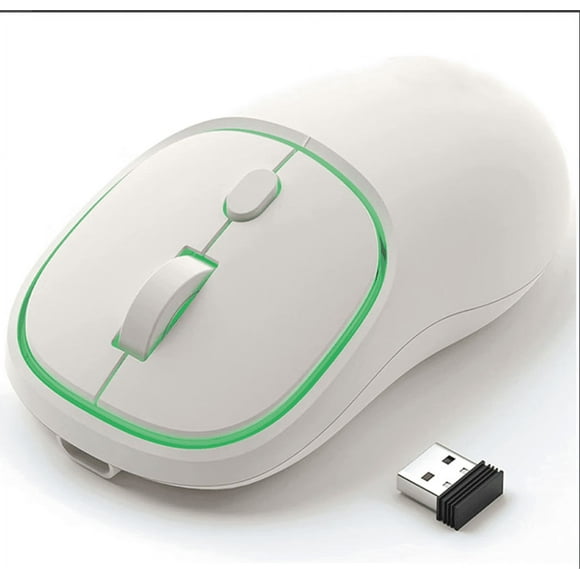 Rechargeable Wireless Mouse, Quiet Computer Mouse, 2.4G Stable Wireless Mouse with LED Light, Portable Type-C Mouse with Port for Windows, Mac, Computer, MacBook