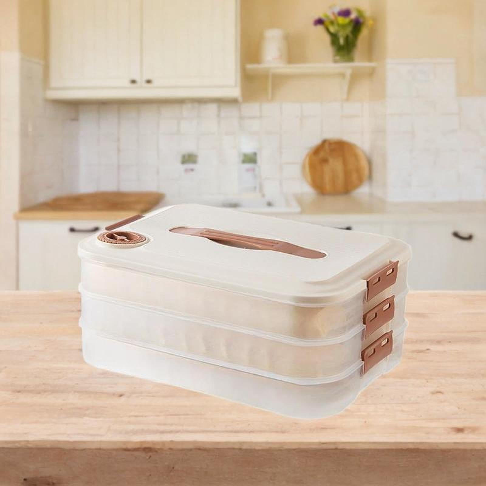 TISHITA Food Storage Container Dumpling Storage Box Reusable Food Preservation Box Refrigerator Organizer for Snack Fridge Three Layers