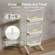 SUNCOZE 3-Tier Hydroponics Growing System Kit with 36 Pods – Full Spectrum Grow Lights Hydroponics System equipped with smart controller, Indoor Herb Garden Kit