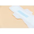 thumbnail image 2 of Elloria Ultra Thin Maxi Pads, Small Size - Daytime Comfort & Leak Protection, 2 of 10