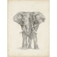 thumbnail image 2 of Harper, Ethan 15x18 Black Ornate Wood Framed with Double Matting Museum Art Print Titled - Elephant Sketch II, 2 of 4