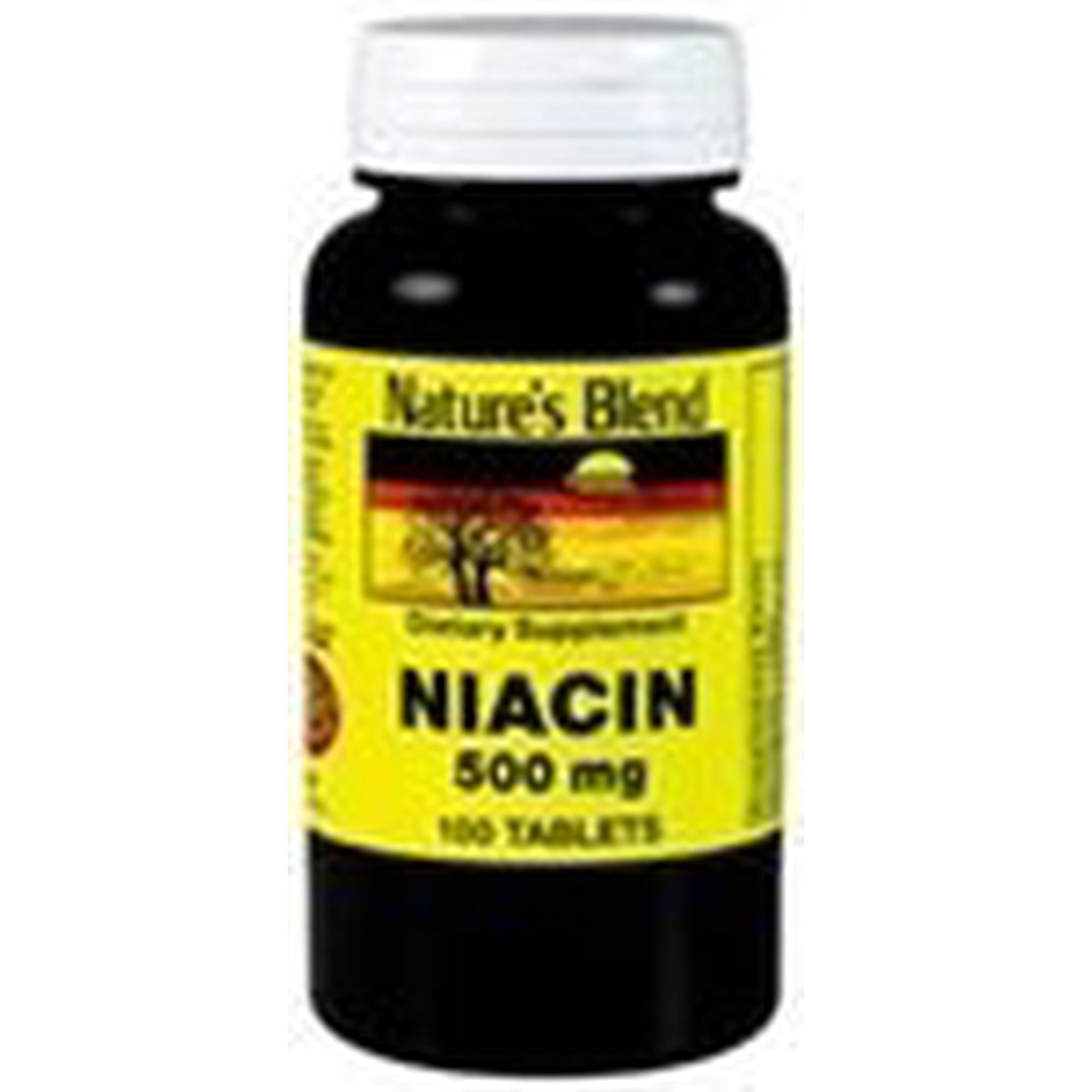 Nature's Blend Niacin 500 mg 100 Tablets