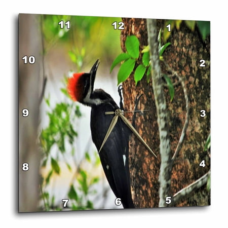 3drose, Pileated Woodpecker in Florida, 10x10 Wall Clock