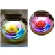 thumbnail image 5 of Botella de deseos Control remoto Flor rosa Luz de noche LED Bombilla romántica Lámpara de atenuación RGB Regalo de cumpleaños del día de San Valentín Advancent JJ17958-04B, 5 of 6