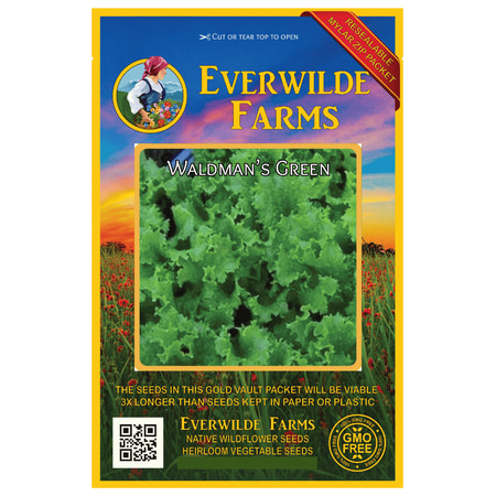 Everwilde Farms - 1000 Waldmans Green Leaf Lettuce Seeds - Gold Vault Jumbo Bulk Seed Packet