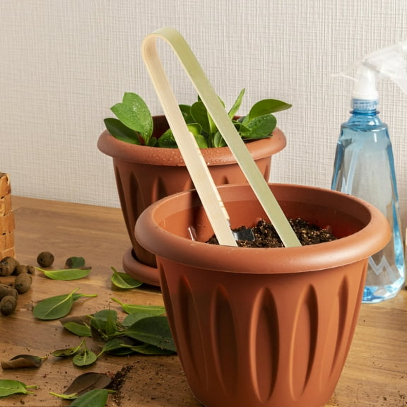 LABSERRON Succulent Moving Pliers Golden 10Pcs 6.29X2.36X0.33in