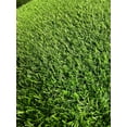 thumbnail image 7 of Thick Artificial Grass 3FT x 32FT, Indoor Outdoor Faux Grass Rug with Drainage Holes, 0.78 Inch Pile Height Synthetic Garden Grass Lawn Rug Soft Astroturf Mat for Pets, 7 of 7