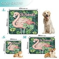 thumbnail image 3 of Qxltty Stpatricks Day Flamingo Cat litter Pads Pet Set of 3 Diaper Mats Center Anti-leakage Layer Absorbent Soft and Comfortable, 3 of 7