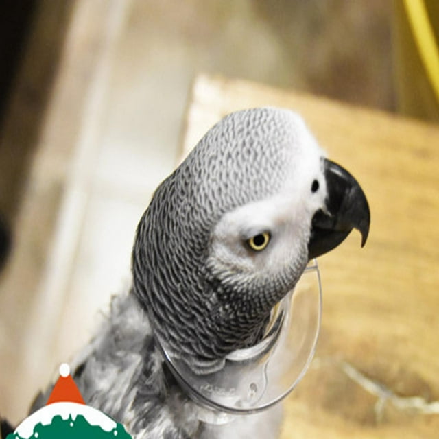 Cuenta protectora para loros, banda para el cuello antiarrancamiento, cubierta para el cuello, pájaro para roedores, cacatúas, guacamayos, hámsteres L Salvador Collar de loro