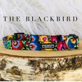 thumbnail image 2 of Collar para perros Lucky Love Dog Blackbird para perros pequeños y grandes, 2 of 9