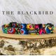 thumbnail image 2 of Collar para perros Lucky Love Dog Blackbird para perros pequeños y grandes, 2 of 9