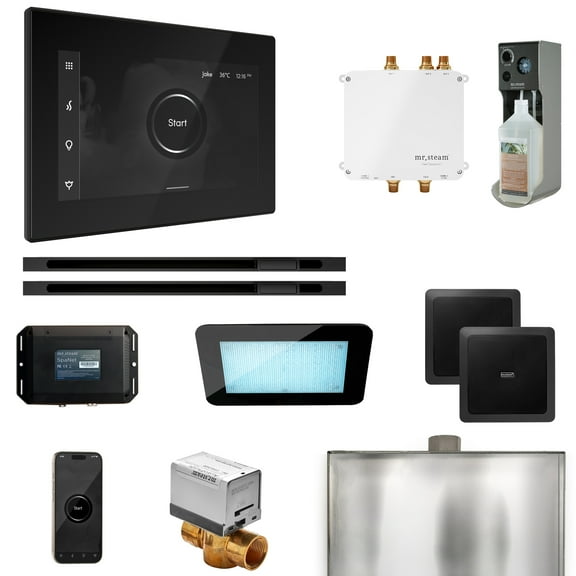 Mr Steam Bliss Max Steam Shower Pkg w/iSteamX Control and Linear Steamhead in Black Matte Black