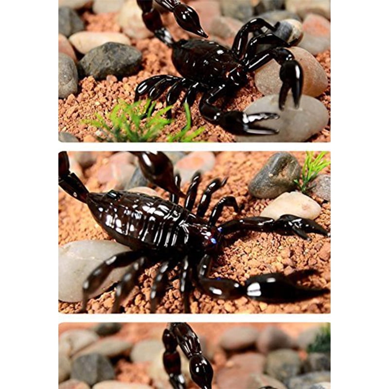 Remote Control Scorpion, Infrared Radio Control Kids Toy RC Scorpion  Realistic Simulation Joke Scary Trick Toys Kids Gift: Black | Walmart Canada