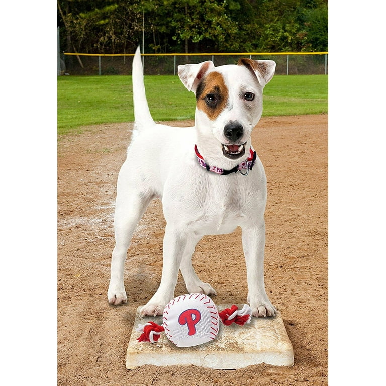 Philadelphia Phillies Dog Collar, MLB
